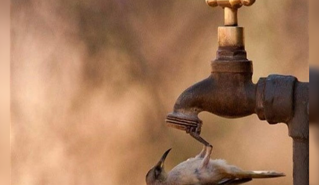 کمبود آب و وضعیت نامطلوب زندگی روستانشینان استان کرمانشاه