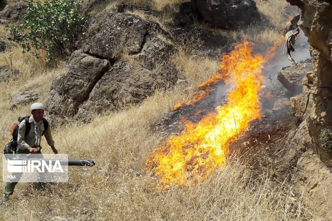 نابودی بیش از هزار و ٧٠٠ هکتار از مراتع و جنگل های استان کردستان به علت آتش سوزی