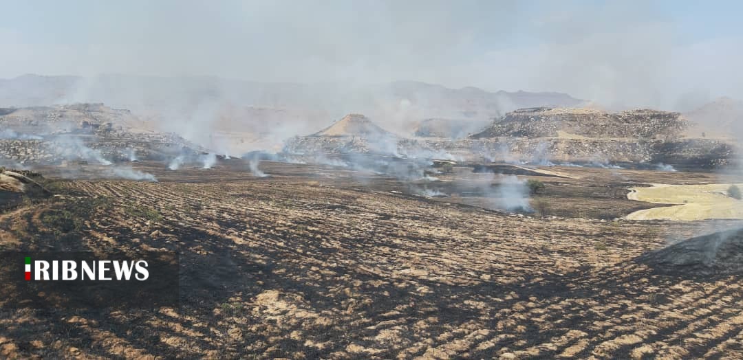 آتش سوزی گسترده در جنگلهای روستای "انجیران" در مریوان