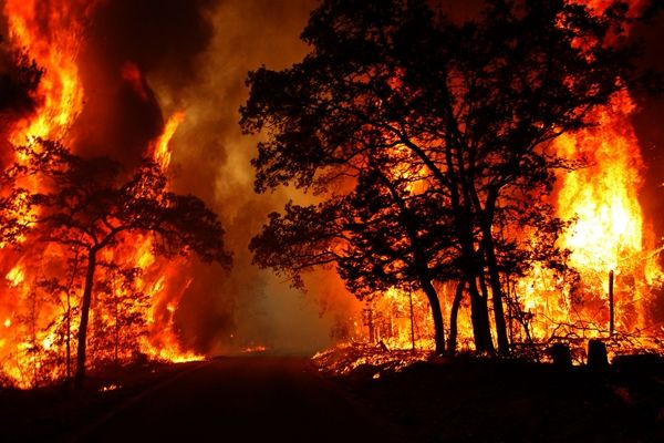 آتش در جنگل‌های “نانه ویژه” پاوه
