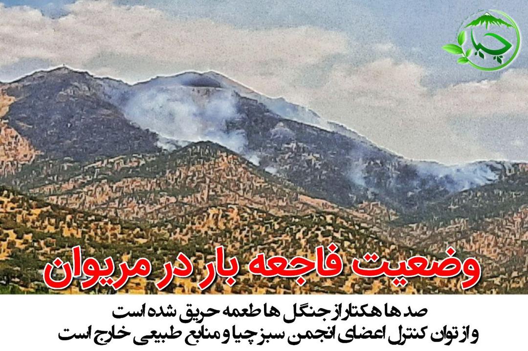 وقوع آتش سوزی در جنگل ها و مراتع شهرستان مریوان