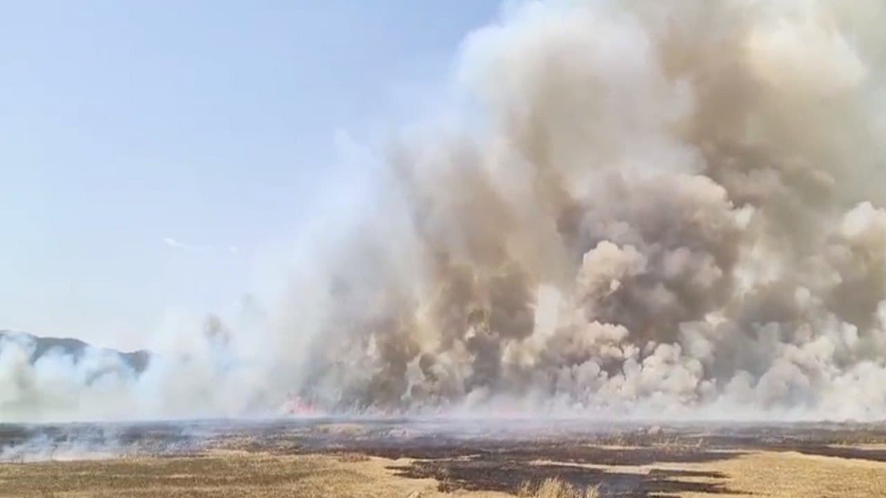 آتش سوزی در نیزارهای دریاچە زریبار در مریوان