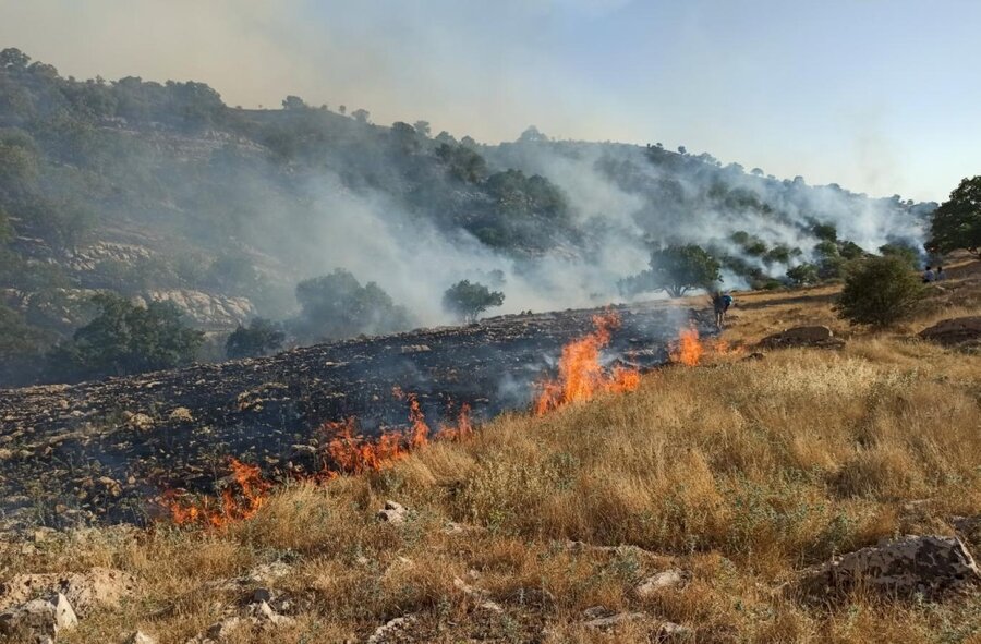 آتش سوزی در جنگل مریوان