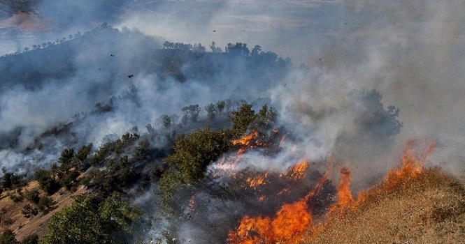 آتش سوزی در جنگل های مریوان