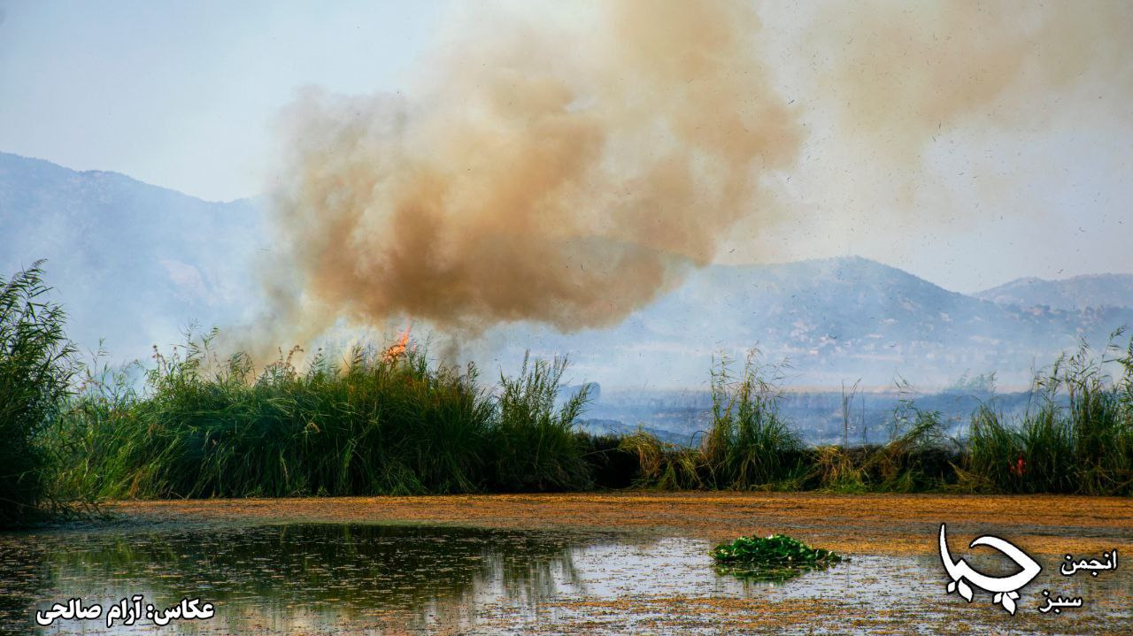 آتش سوزی در نیزارهای دریاچەی زریبار در مریوان